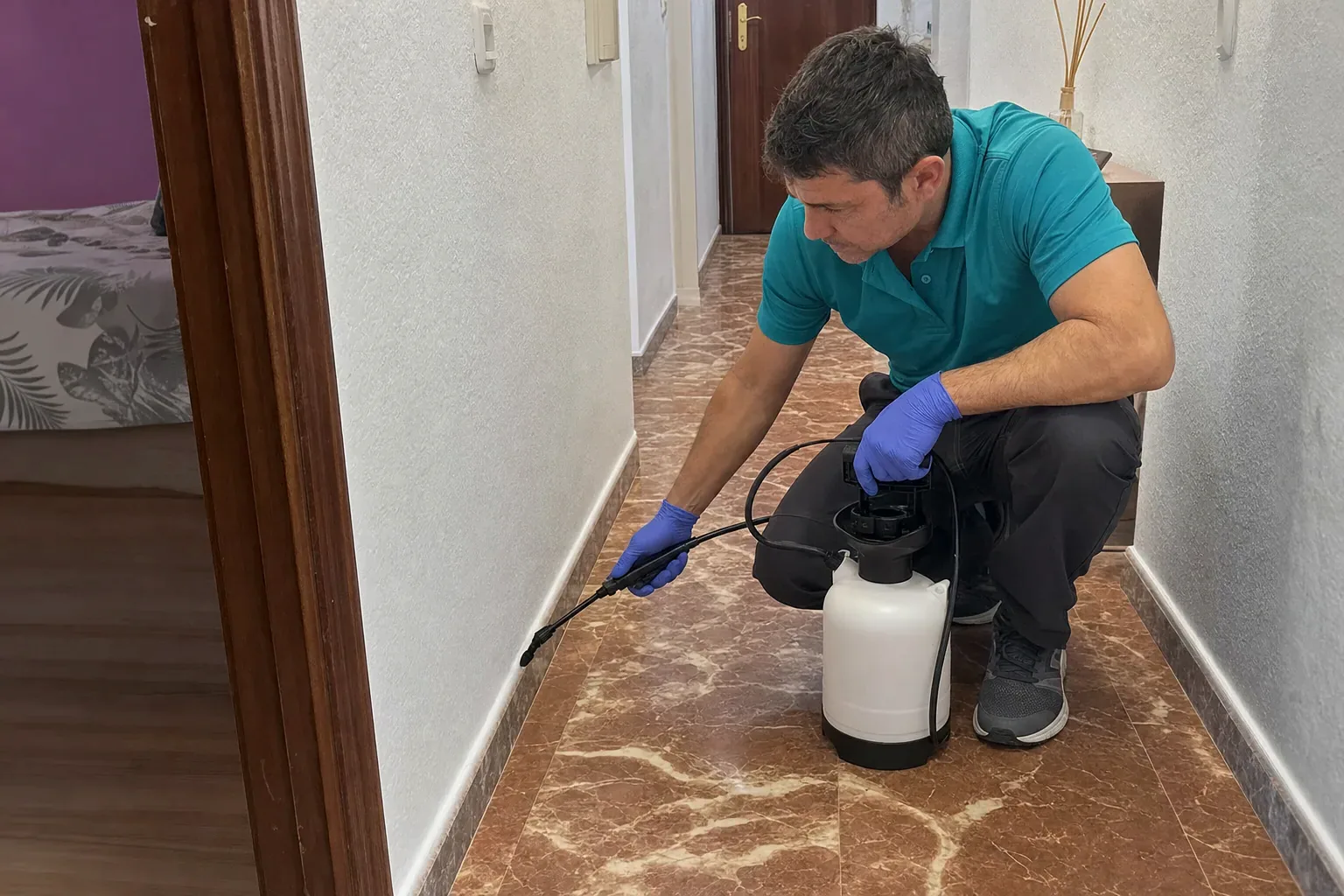 Picaduras al despertar: ¿chinches, pulgas o mosquitos?