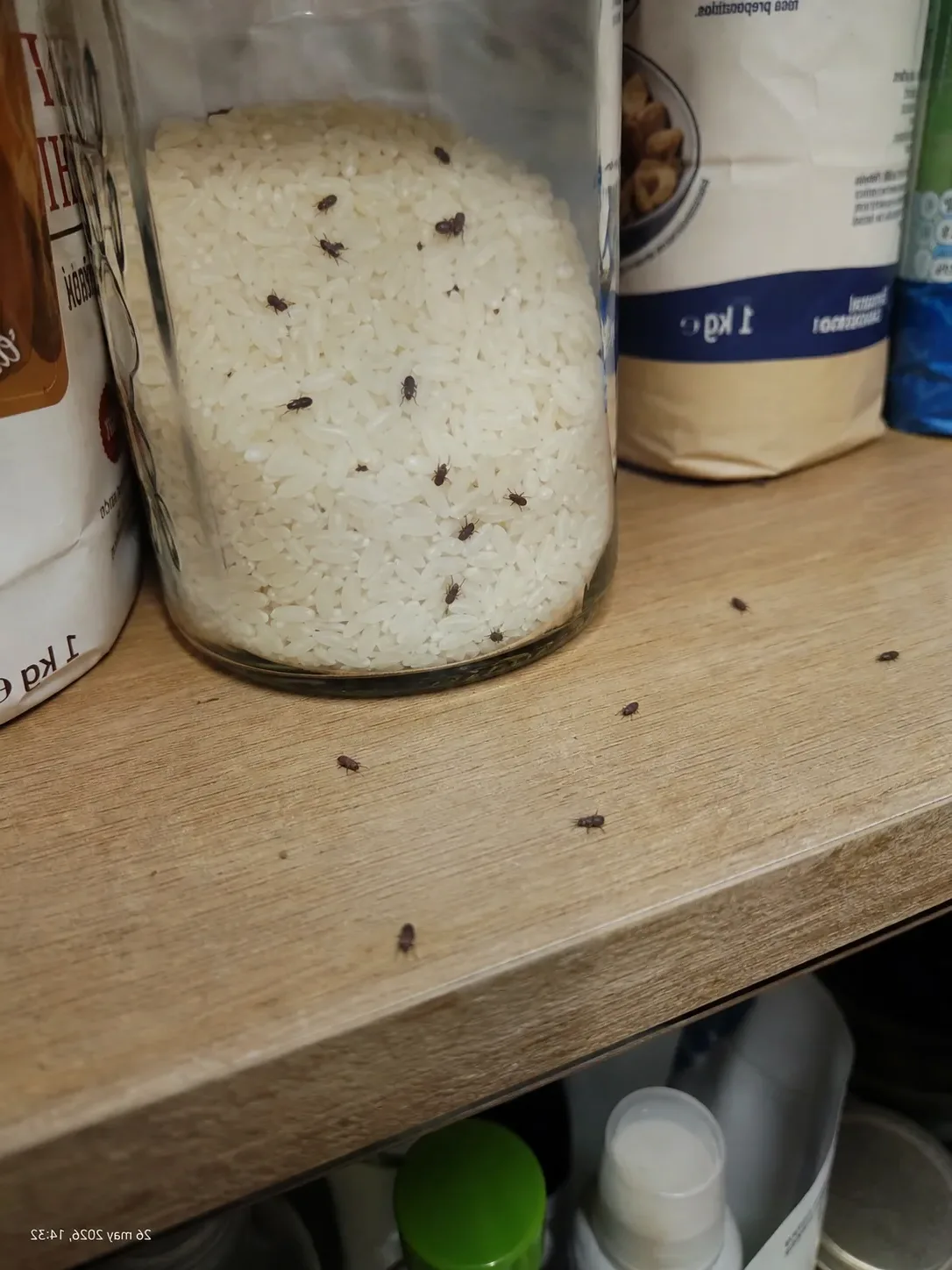 Can Vallsojos en un bote de arroz de la despensa